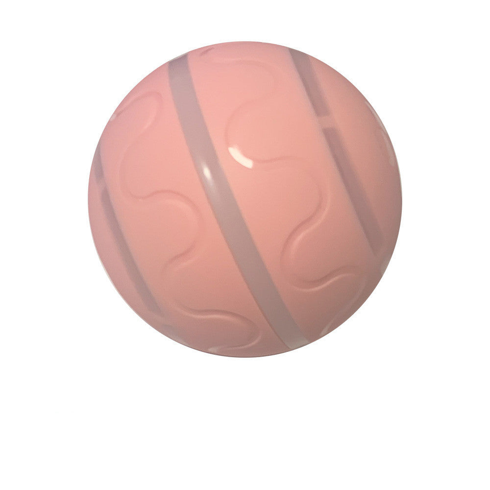 PurrOrbit™️